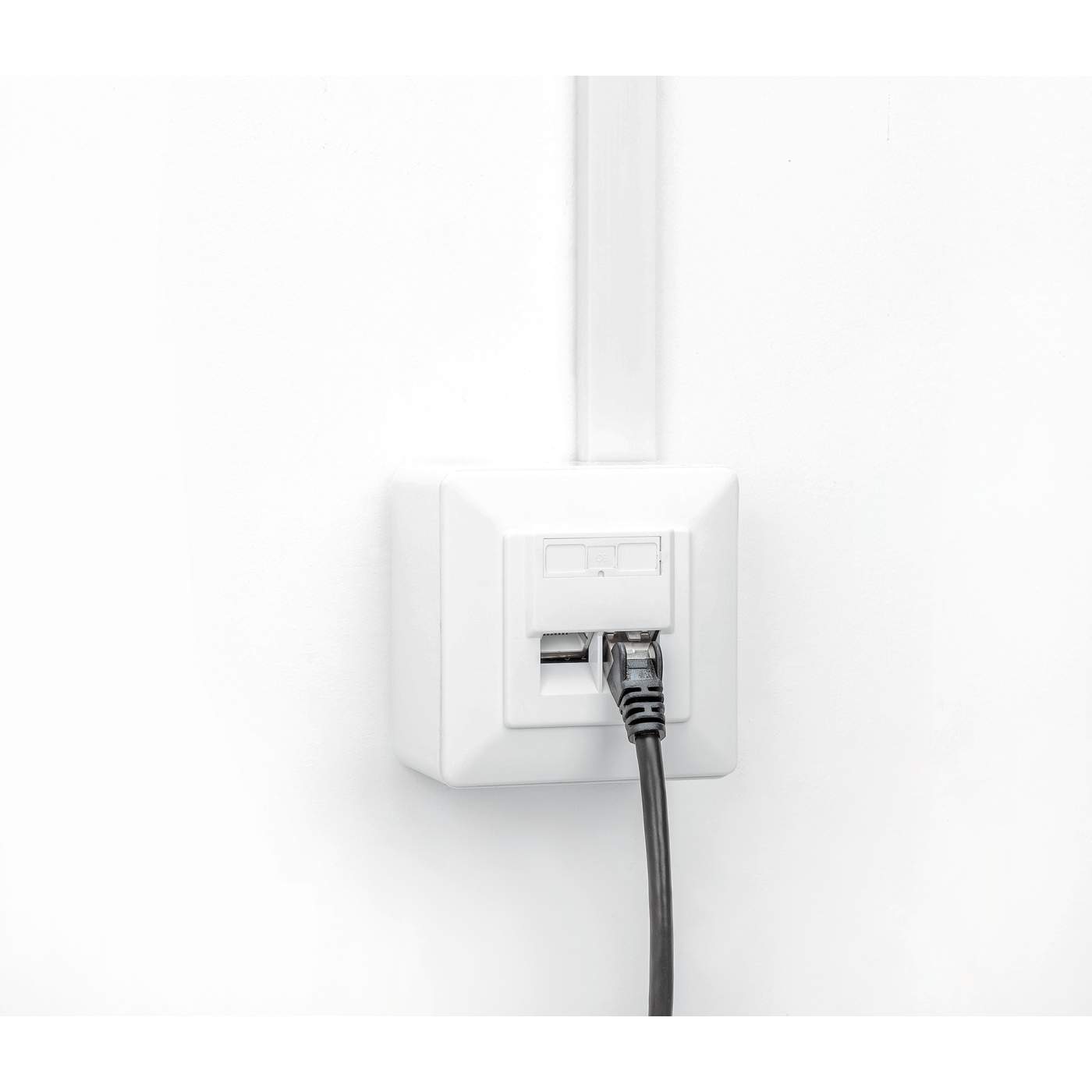 2-Port Cat6 10G RJ45-Netzwerkdose, geschirmt Image 9