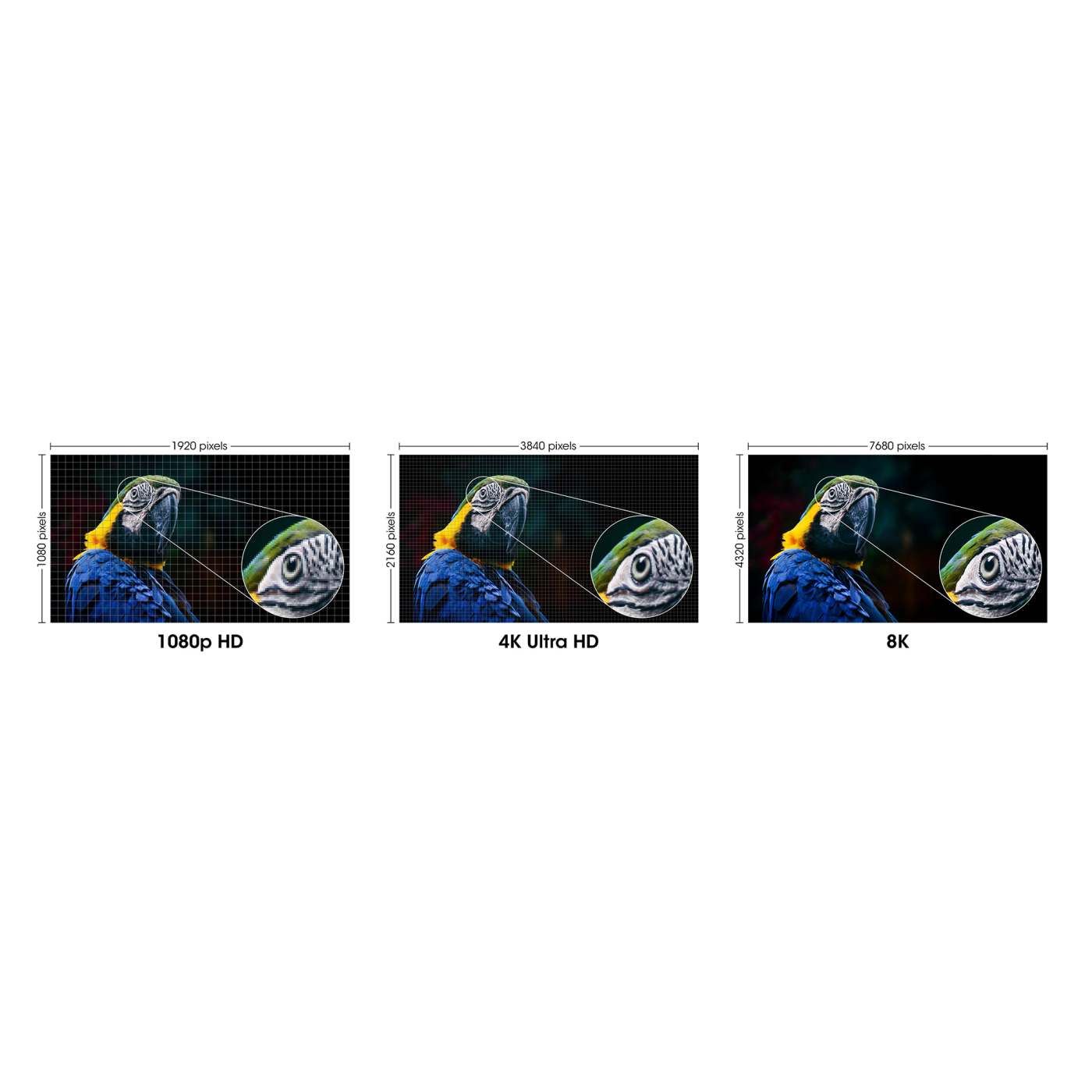 MH MiniDisplayport to Displayport Cable, 3m DP1.4, Black Image 7