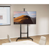 Multimedia TV-Ständer auf Rollen, werkzeuglos höhenverstellbar, für 60" bis 120" Großbildschirme Image 2