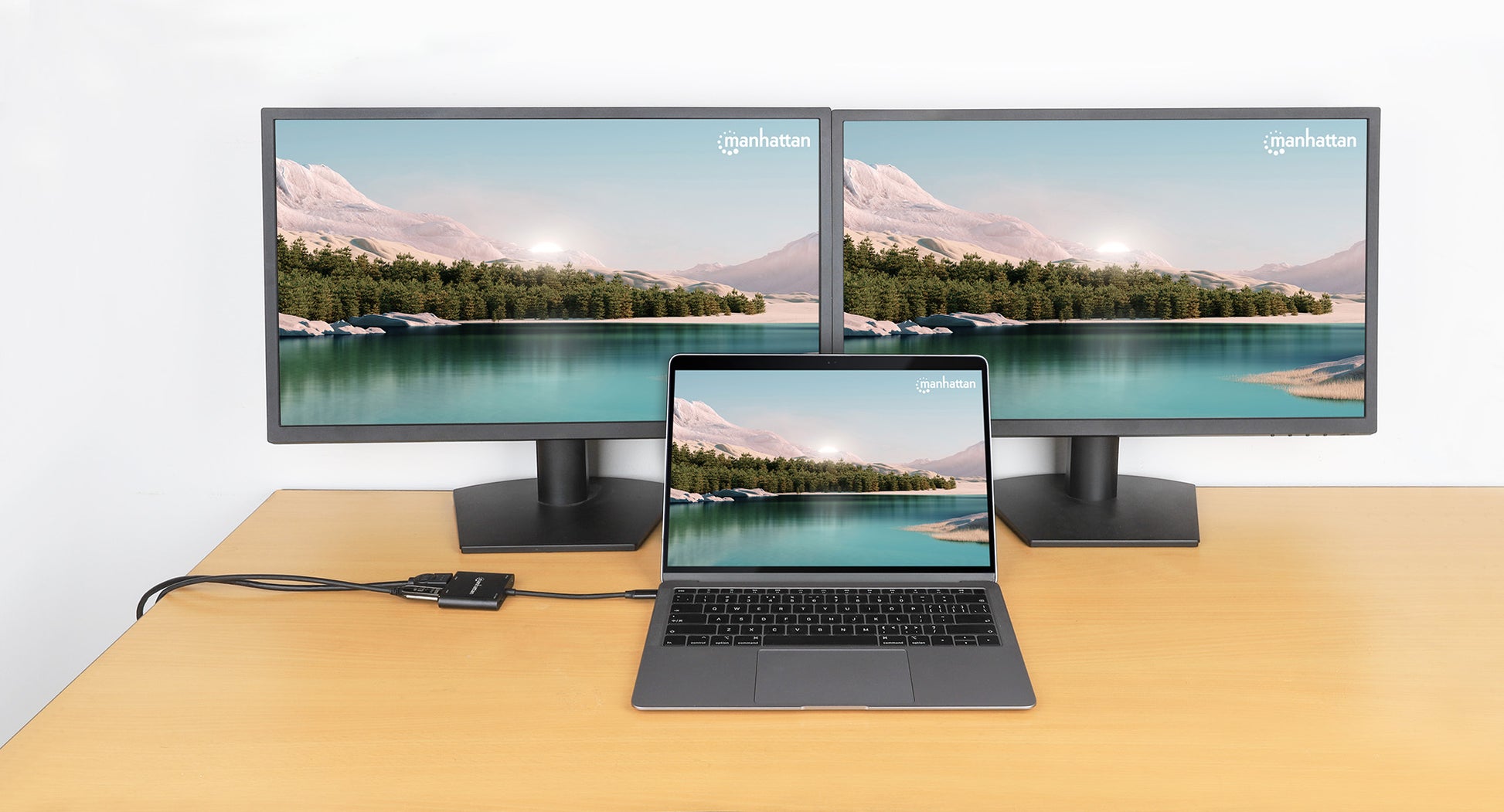 USB-C PD auf Dual-HDMI-Monitor-Adapter für Laptop und Tablet Image 3