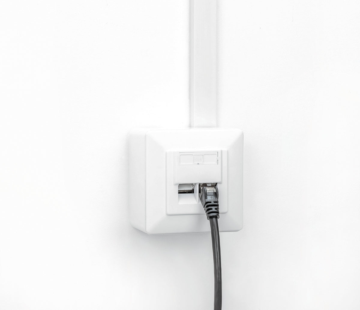 2-Port Cat6a 10G RJ45-Netzwerkdose, geschirmt Image 9