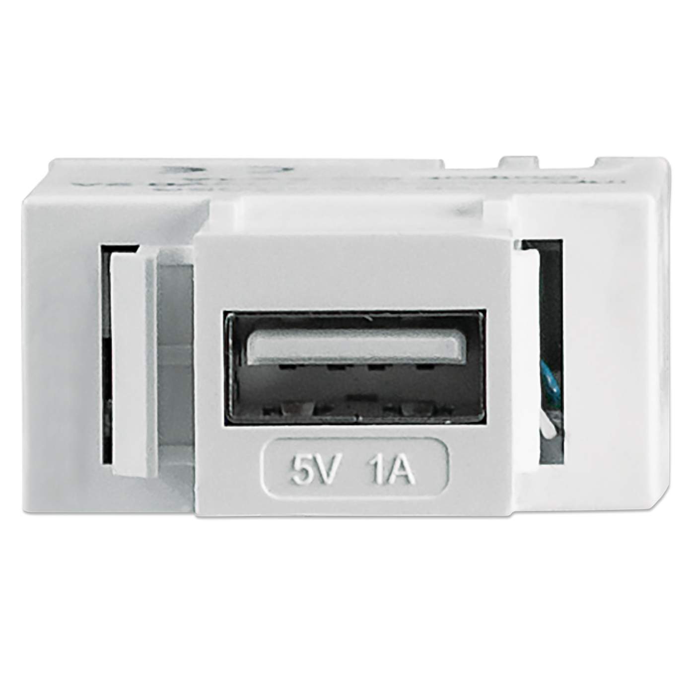 Modularbuchse mit USB Typ A-Ladeport Image 1